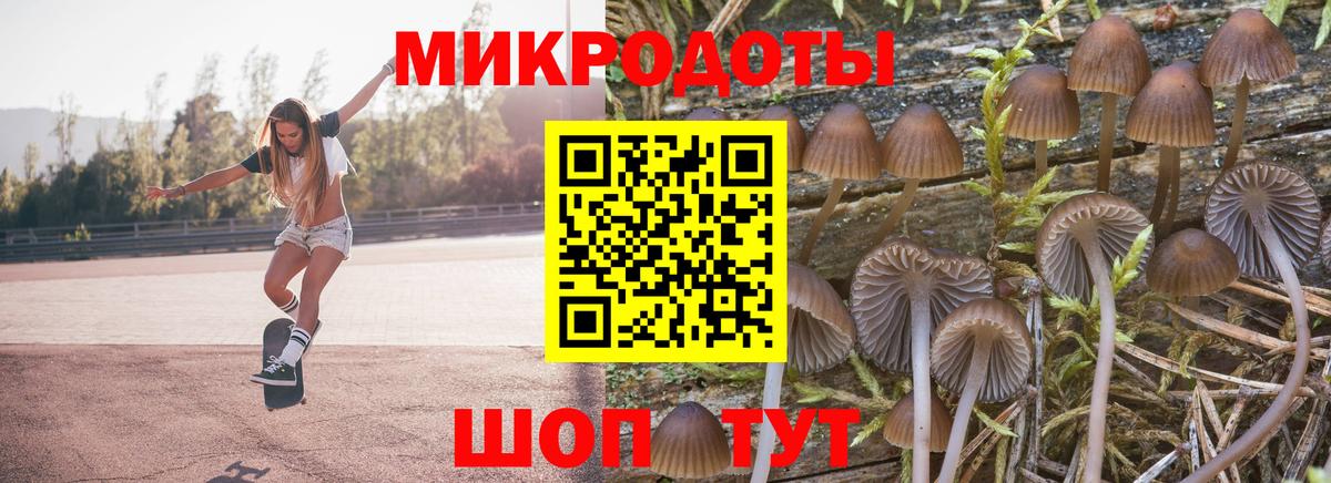 Галлюциногенные грибы мицелий  наркотики  Кунгур  Вход с VPN 