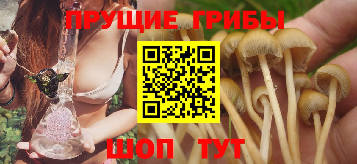 Галлюциногенные грибы Magic Shrooms Кунгур